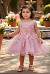 Floral Applique Tulle Baby Dress 9109